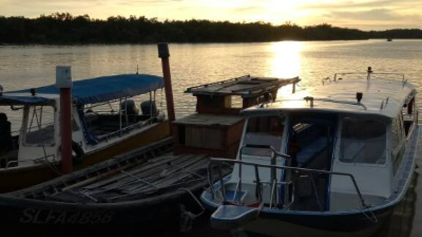 P 27 2D 1N Tour Rainforest Taman Negara + Night Jungle Walk 2