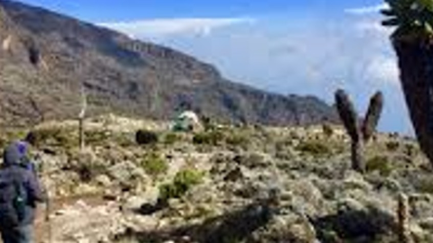 7 Days Machame Kilimanjaro Climb 3