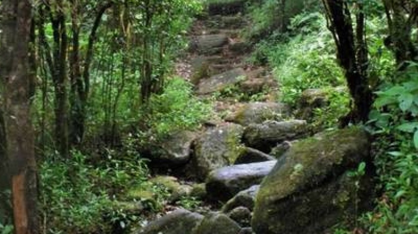 Overnight Hike to Knuckles Riverston 4