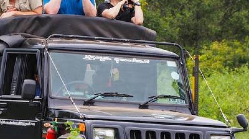 All-Inclusive Overnight Safari in Wasgamuwa With Mobile Camping 3