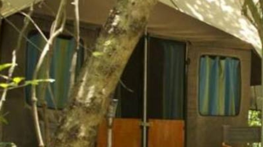 All-Inclusive Overnight Safari in Wasgamuwa With Mobile Camping 4