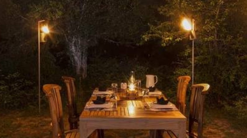 Overnight Luxury Glamping in Yala With Return Transfers (From Colombo) 7