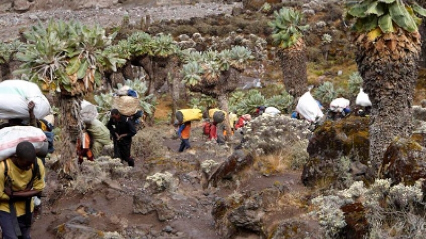 9 Days Lemosho Route Staying At Crater Kilimanjaro Climb 6
