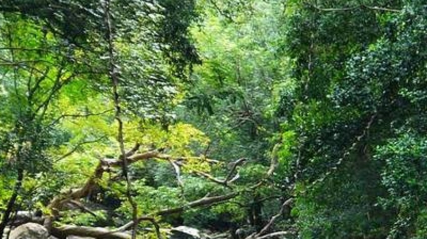 Overnight Trekking to Knuckles & Meemure With Camping 5