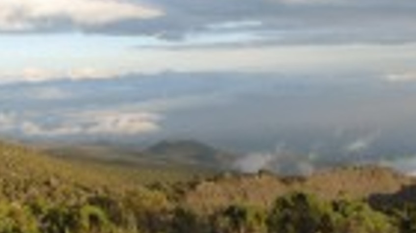 Kilimanjaro Climbing Via Northern Circuit 9 Days 4