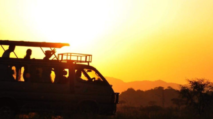 7 Days Uganda Gorillas, Chimpanzees and Wildlife Game Safari 5