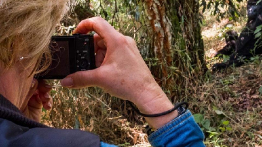 7 Days Uganda Gorillas, Chimpanzees and Wildlife Game Safari 6