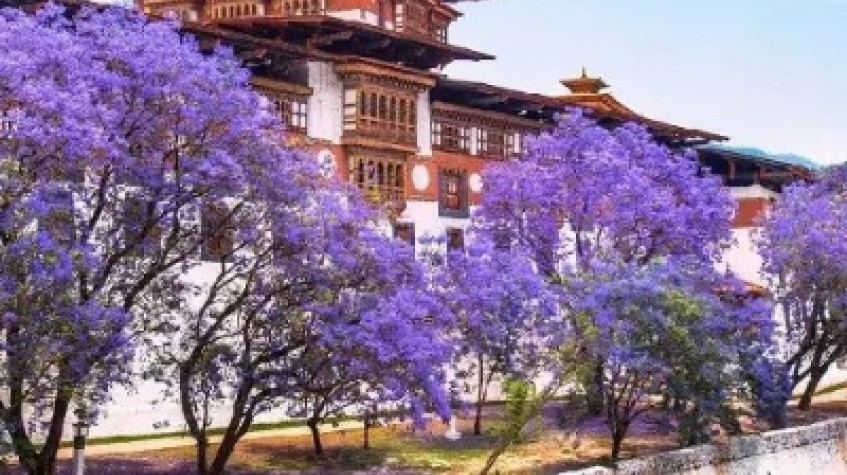 6 Nights 7 Days Bhutan Festival Tour 2024 3
