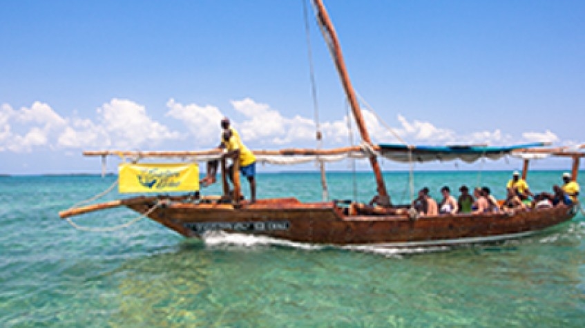 Safari Blue Adventure 5