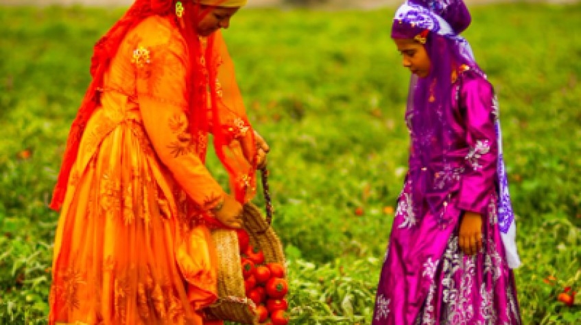 Glance of Persia 7 Day Tour Package 3