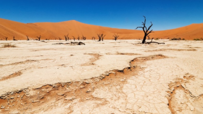 7 Days Sossusvlei, Swakopmund and Etosha National Park (Camping) 2