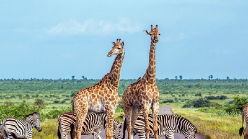 7 Days Sossusvlei, Swakopmund and Etosha National Park (Camping) 6