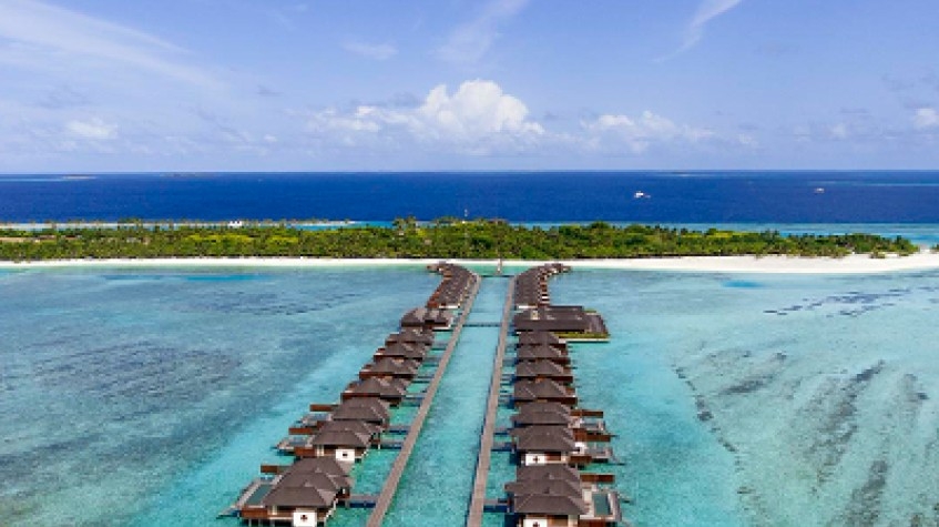 The Paradise Island 6