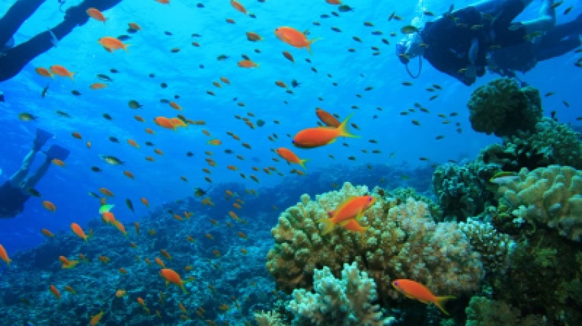 Daily Scuba Diving Tour Bodrum 7