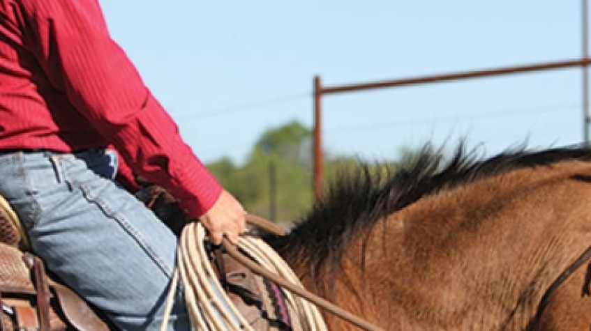 Daily Horse Riding Tour Bodrum 4