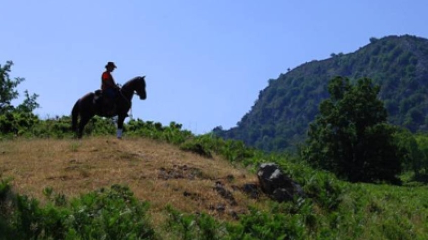 Daily Horse Riding Tour Bodrum 5