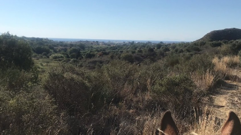 Daily Horse Riding Tour Bodrum 7