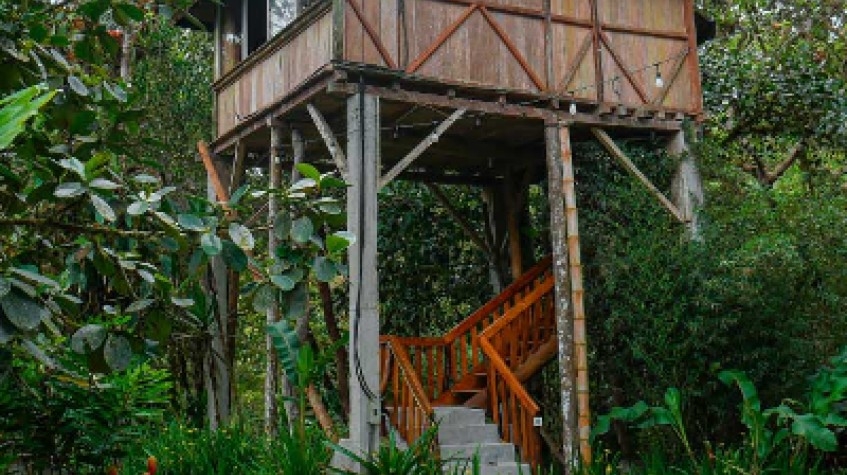 Natural Experience in El Carmel 6