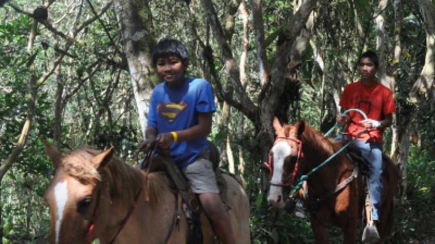 Natural Experience in El Carmel 7