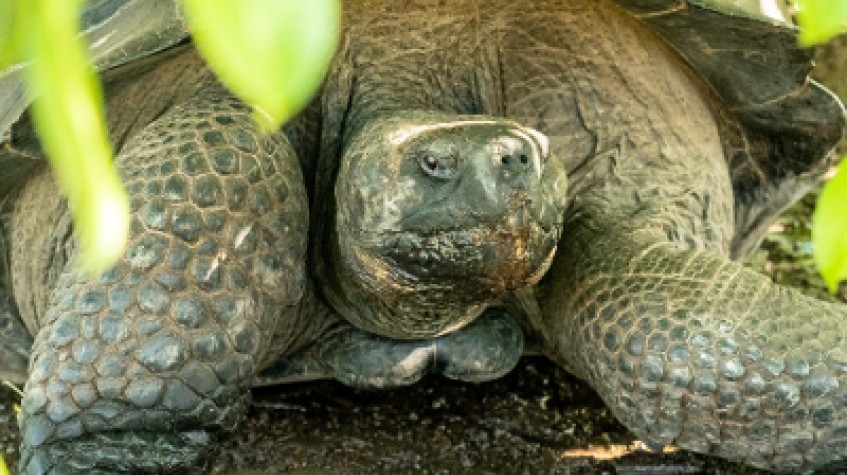 Galapagos Relax 8 Days Tour 1