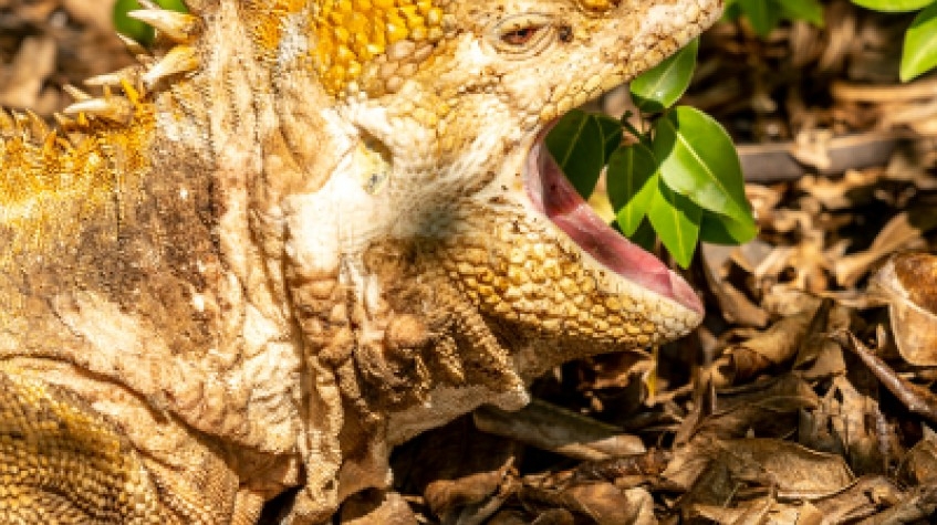Galapagos Relax 8 Days Tour 3