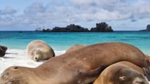 10 Days Galapagos Island Hopping in Santa Cruz and Isabela
