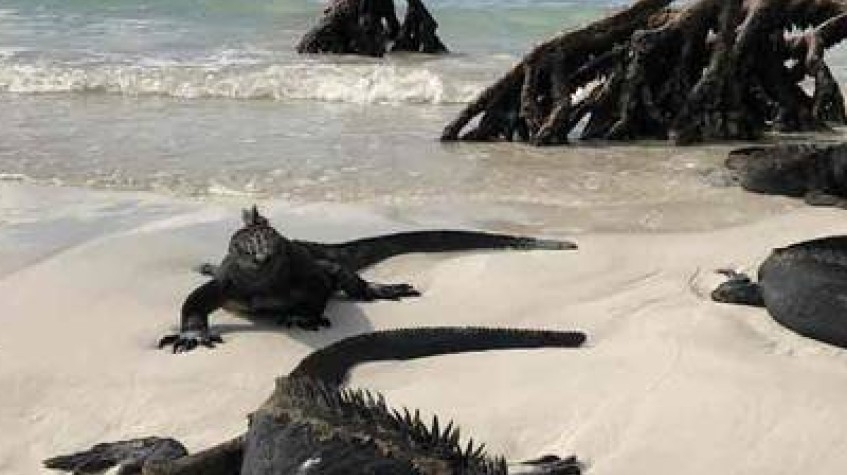 7 Days Galapagos Multisport Adventure Tour 3