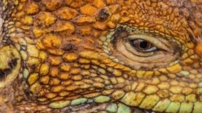Galapagos Express Tour 6 Days