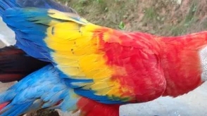 Colombia & Galapagos Express 13 Days Tour