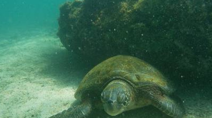 Fly Galapagos Unique 9 Days Tour 9