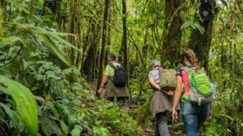 Ecuador Cloud Forest 5 Days Hiking Tour 2