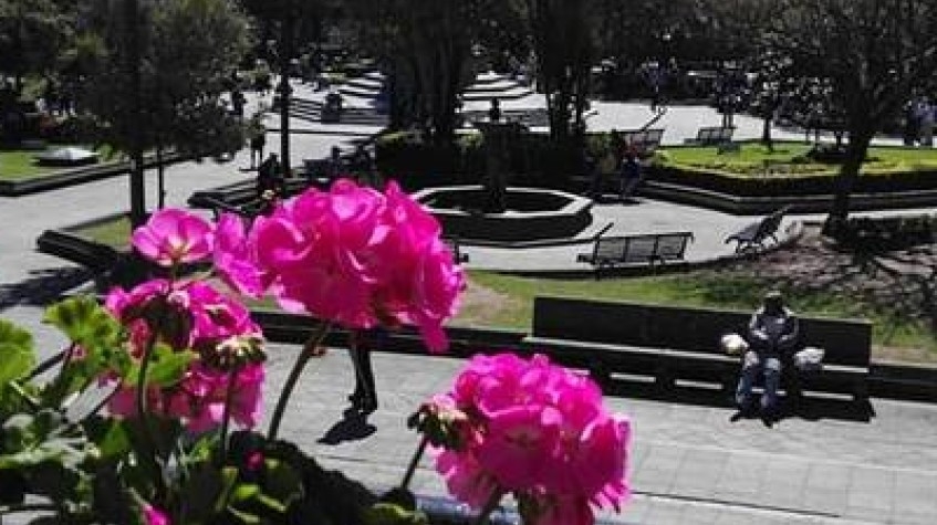 Ecuador Cloud Forest 5 Days Hiking Tour 5