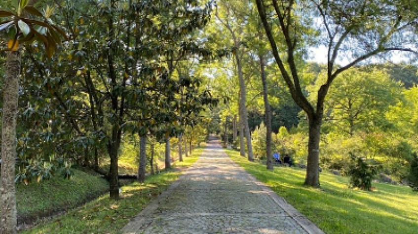 Full Day Outdoor Nature Tour / Rumeli Fortress, Belgrad Forest & More 4
