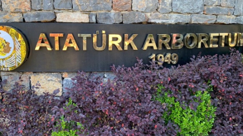 Full Day Outdoor Nature Tour / Rumeli Fortress, Belgrad Forest & More 5