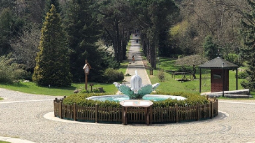 Full Day Outdoor Nature Tour / Rumeli Fortress, Belgrad Forest & More 8