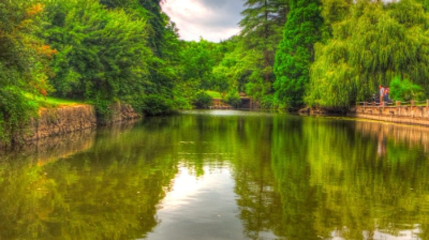 Full Day Outdoor Nature Tour / Rumeli Fortress, Belgrad Forest & More 10