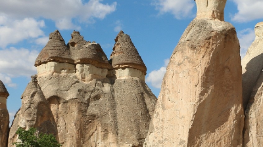 Image 10