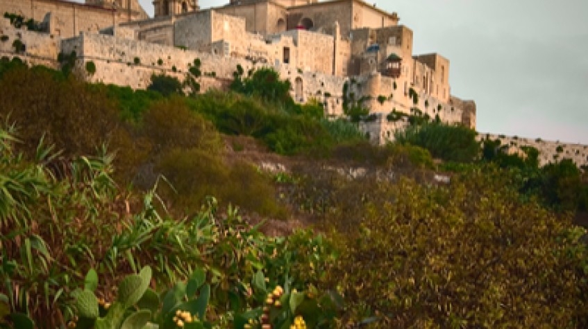 Treasures of the Mediterranean - Malta  6