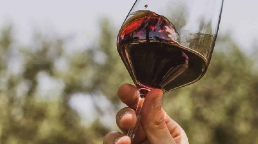 Private Wine Tasting in Manduria 1