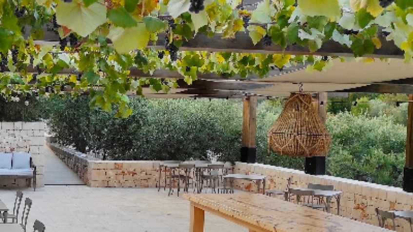 Private Wine Tasting in Manduria 2