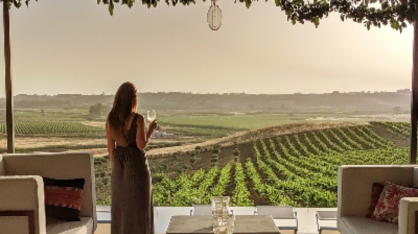 Private Wine Tasting in Manduria 4