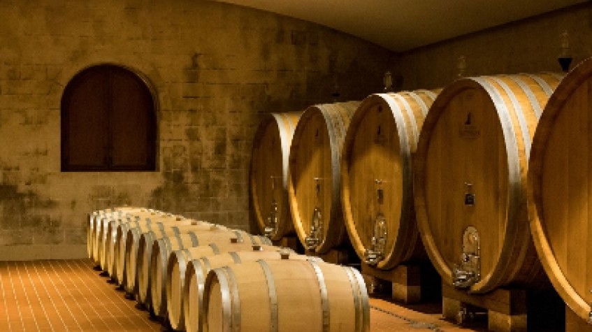 Private Wine Tasting in Manduria 6