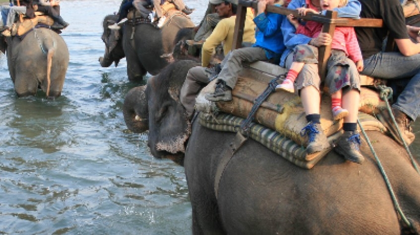 6 Days Kathmandu & Pokhara Tour 5