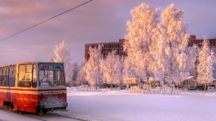 St. Petersburg in Winter: 7 Days Tour Package 7
