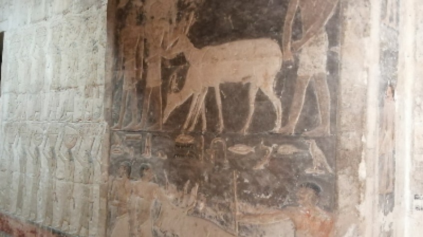 Pyramids,Sphinx,Saqqara and Dahshur Tour 7