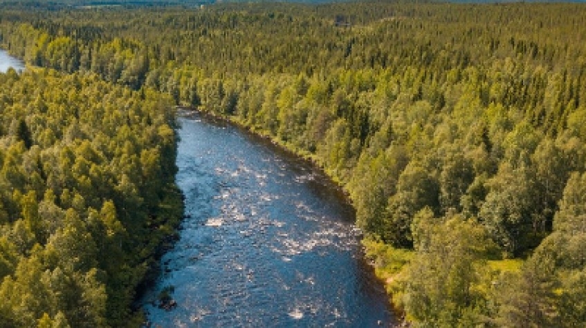Vikaköngäs Hiking Tour 5