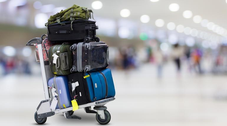 Travel Protection Insurance