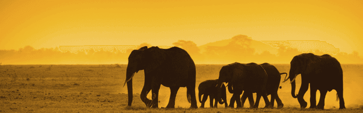 Africa