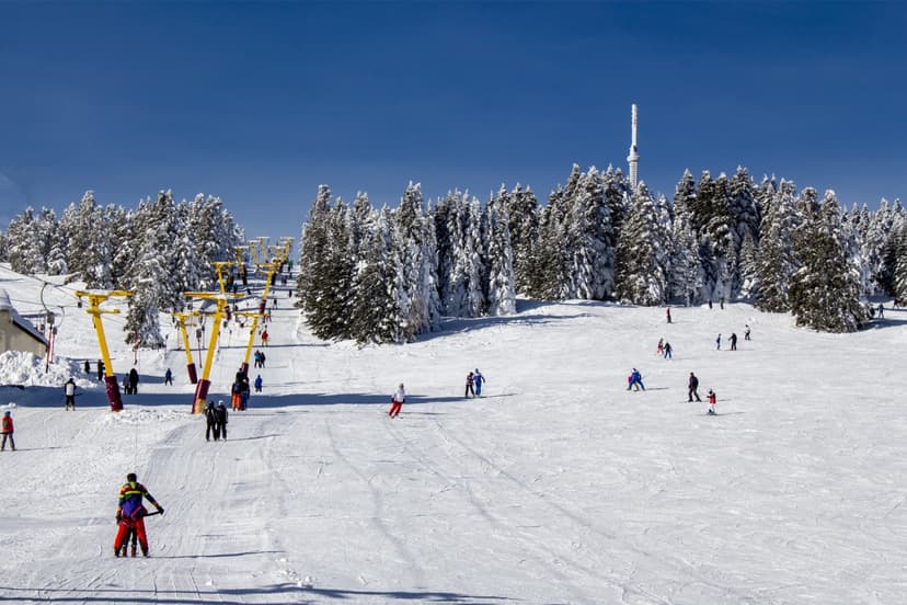 1-Day Uludag Ski Tour from Istanbul – Full-Day Winter Adventure 3