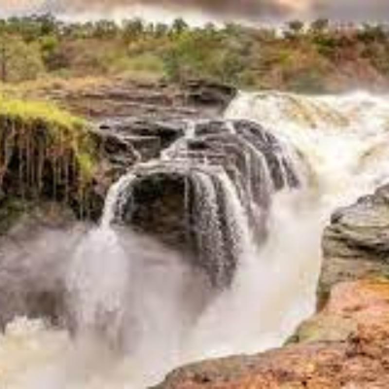 6 DAYS BEST OF UGANDA AND WILDLIFE VIEWING